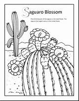 Coloring Cactus Pages Blossom Arkansas Razorbacks Getdrawings Pretty Saguaro Stunning Flower Birijus sketch template