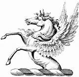 Mystical Mythical Designlooter Pegasus sketch template