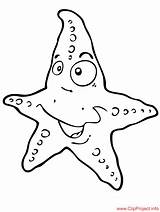 Seestern Starfish Malvorlage Ausmalen sketch template