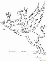 Griffin Coloring Pages Mythical Creatures Drawing Draw Hippogriff Tattoo Line Gryphon Griffon Creature Step Plain Long Wings Egyptian Mythology Getcolorings sketch template