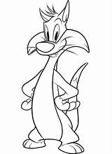 Sylvester Silvestro Looney Tunes Sylwester Zwariowane Melodie Kot Gatto Disegno Silvester Tweety Supercoloring Drukuj sketch template