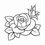 Rose Drawing Vector Tattoo Stencil Contour Drawings Line Outline Roses Illustrations Clip Illustration Easy Beautiful Stock Flower Sketches Cool Yellow sketch template