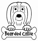 Bearded Collie Coloring Designlooter Pages 705px 48kb sketch template