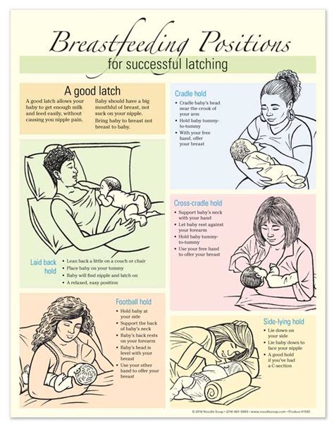 breastfeeding positions breastfeeding breastfeeding positions vrogue
