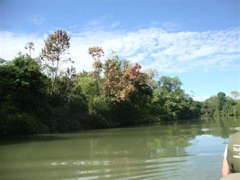 pantanal state of mato grosso do sul reviews of pantanal tripadvisor