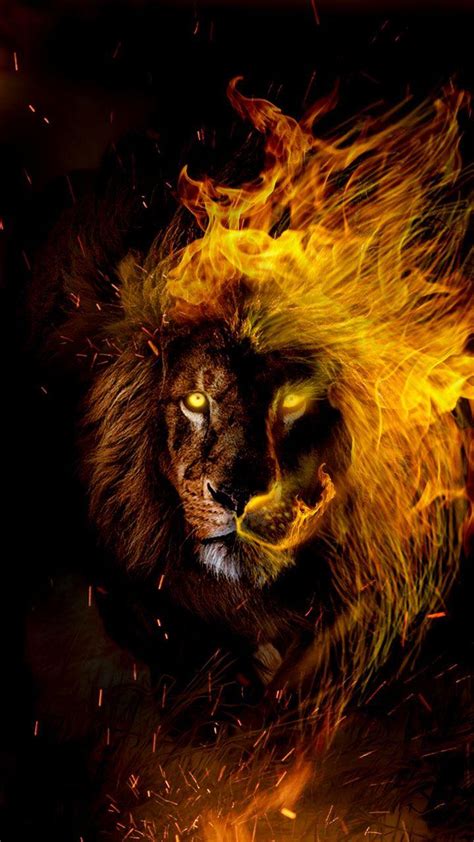 Fire Lion Wallpaper Hd Awesome Lion Wallpaper For Desktop Table And Mobile
