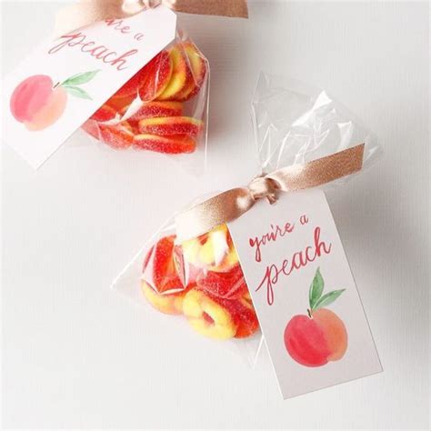 youre  peach tags gift tags youre  peach skater gifts