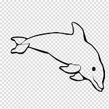 Spinner Dolphins Bottlenose Lumba Delfin Mewarnai Hiclipart Webstockreview sketch template