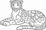 Jaguar Coloring Color Pages Printable Drawing Animal Crafts Use Print Getdrawings Getcolorings sketch template