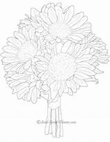 Coloring Pages Sunflower Gerbera Daisy Summer Bouquet Getcolorings Flower Getdrawings Choose Board Flowers sketch template