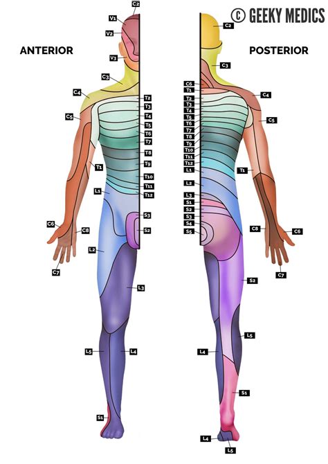 paediatric neurological examination osce guide geeky medics