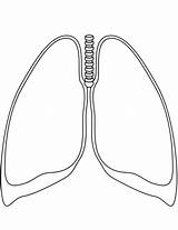 Lungs Coloring Human Printable Pages Lung Template Drawing Getdrawings sketch template