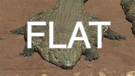 its flat fuck friday you fucking losers chords chordify