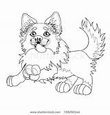 Border Collie Coloring Pages Getcolorings Print Color sketch template