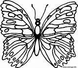 Papillon Colorier sketch template