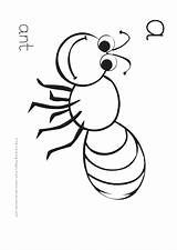 Ant Coloring Sheet Printable Pdf Template sketch template