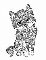 Coloring Kitten Cute Cat sketch template