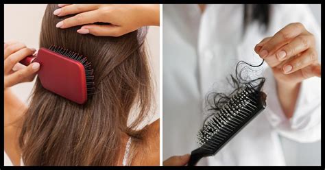 how to properly brush your hair and why it is so important