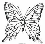 Butterfly Coloring Pages Wings Printable Kids Drawing Template Color Cool2bkids Print Getcolorings Fancy But Flower sketch template