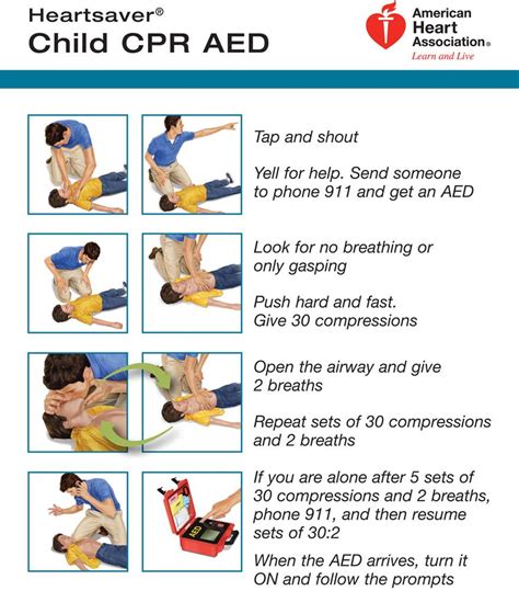 infant cpr instructions printable printable word searches