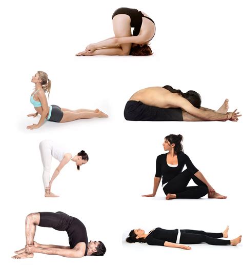 simple hatha yoga poses  beginners    master  basics