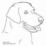 Labrador Coloring Retriever Lab Pages Dog Drawing Color Drawings Line Headstudy Easy Draw Labs Puppies Dogs Golden Face Puppy Own sketch template