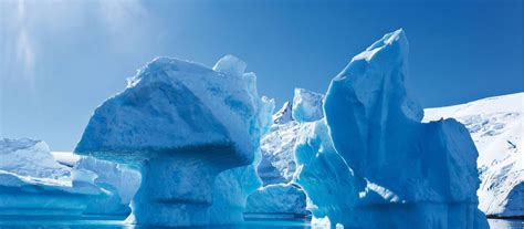polar cruises spirit  antarctica antarctic peninsula