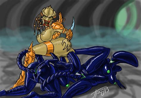 1085115 alien aliens vs predator grriva predator xenomorph yautja hot and sexy alien females