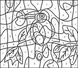 Toucan Color Animals Hard Number Coloring Pages Printable Printables Numbers Kids Coloritbynumbers Book Hidden Access Bezoeken sketch template