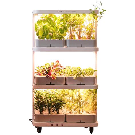 urban plant growers  family farm indoor hydroponic garden