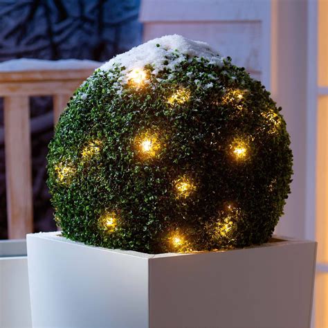 beleuchtete buchsbaumkugel mit led lichterkette weltbildde