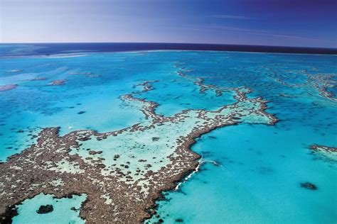 hump day facts  great barrier reef australia outback yarns