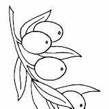Olive Coloring Pages sketch template