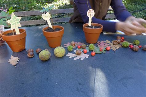 nyc parks  classrooms learning  garden  acorns