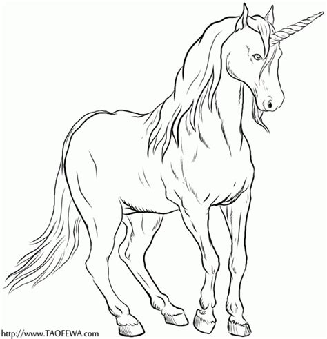 simple realistic unicorn coloring pages lomicolorado