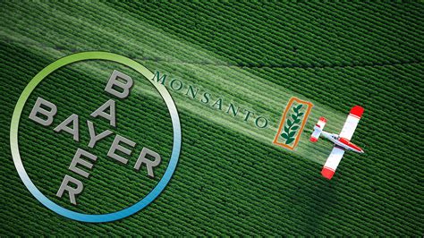 bayer monsanto merger  wind  costing    grocery store marketwatch