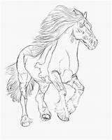 Paarden Fries Paard Volwassenen Uitprinten Downloaden Tekenen sketch template