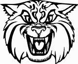 Wildcat Coloring Pages sketch template