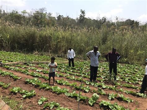 improving farming techniques capacity foundation