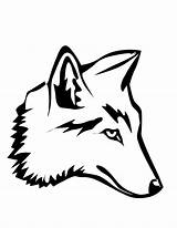 Coyotes Drawings Popular Coloring sketch template