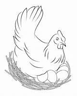 Coloring Chicken Pages Kids Print Adults Printable Flapping sketch template
