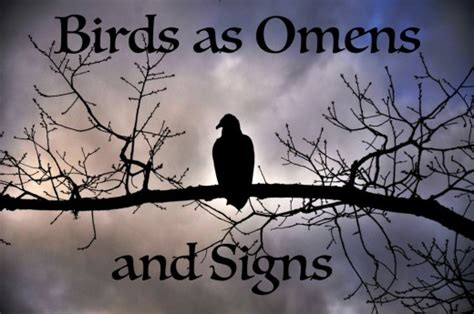 birds singing at night omen btec music industry resources good topics to write songs about