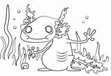 Axolotl Coloring Cartoon Pages Printable Designlooter Version Click Walking Fish 333px 34kb Categories sketch template