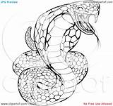 Cobra Snake Coloring King Pages Striking Illustration Color Venomous Clipart Print Kids Atstockillustration sketch template
