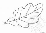 Leaf Oak Template Drawing Coloring Paintingvalley Autumn Coloringpage Eu sketch template