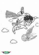 Potter Quidditch Broom Snitch Riding Nimbus Chasing Catching Tsgos Netart Uniquecoloringpages Hedwig Hogwarts Rowling sketch template
