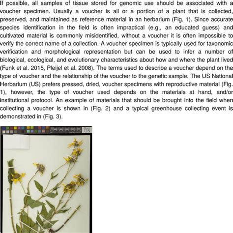 specimen voucher    national herbarium    dried