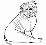 Coloring Pages Dog Template Bulldog English Templates Mastiff Animal Printable Color Puppies Shape Print Getcolorings Girl Colouring Sheets Getdrawings Printables sketch template
