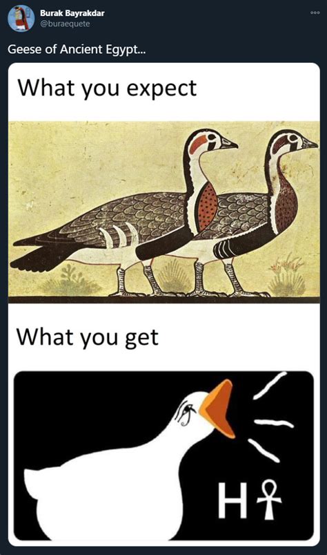 geese of ancient egypt r ancient history memes
