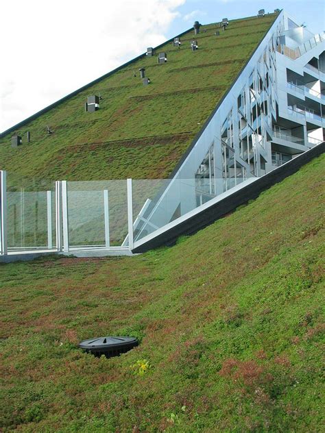 big wins  green roof  scandinavia award   house